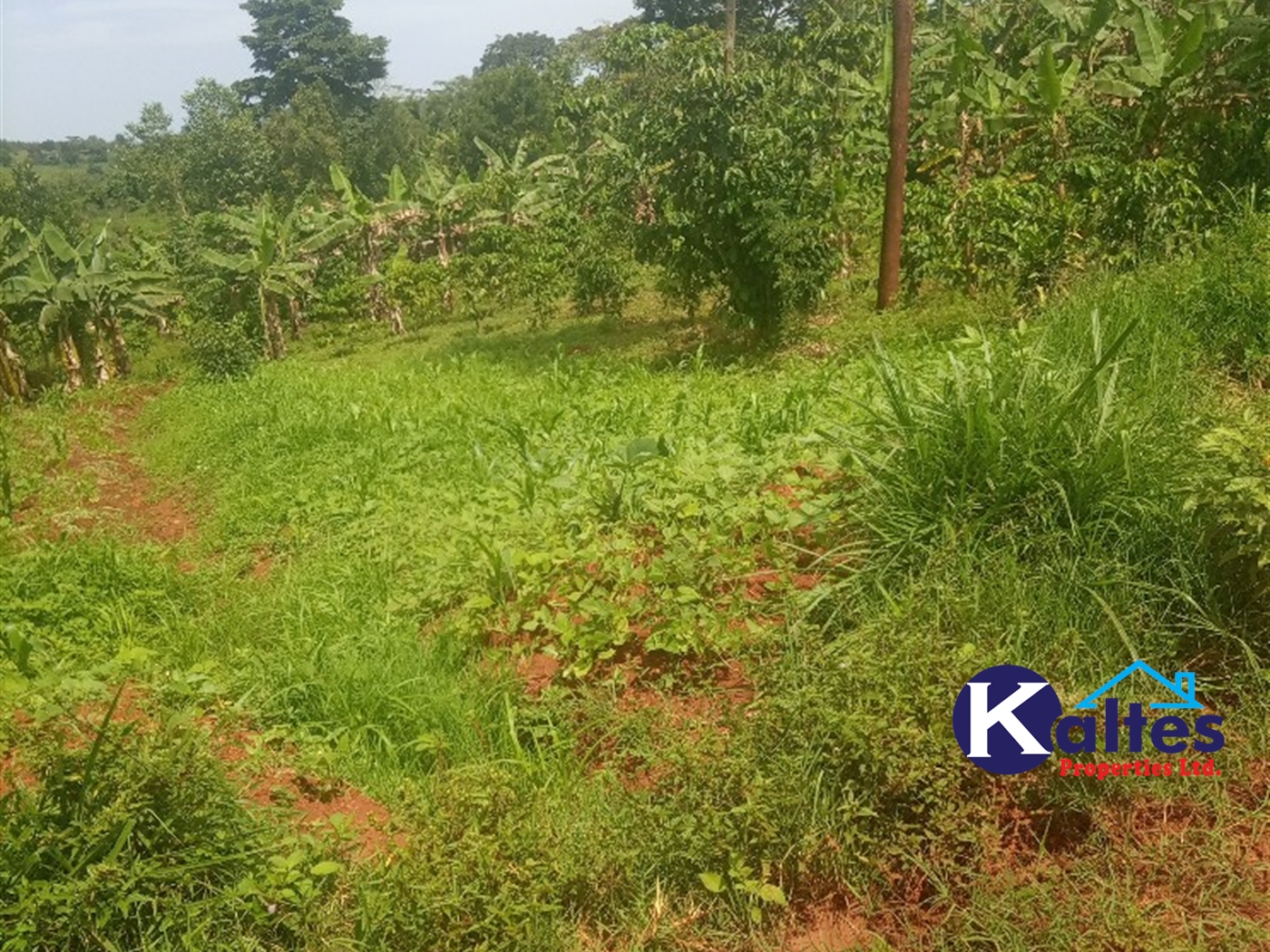 Agricultural Land for sale in Kisoga Mukono