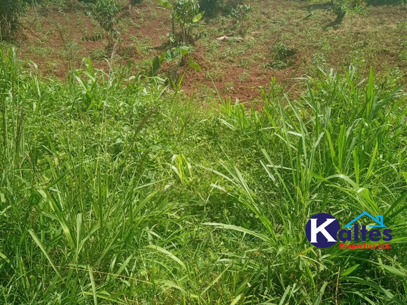 Agricultural Land for sale in Kisoga Mukono