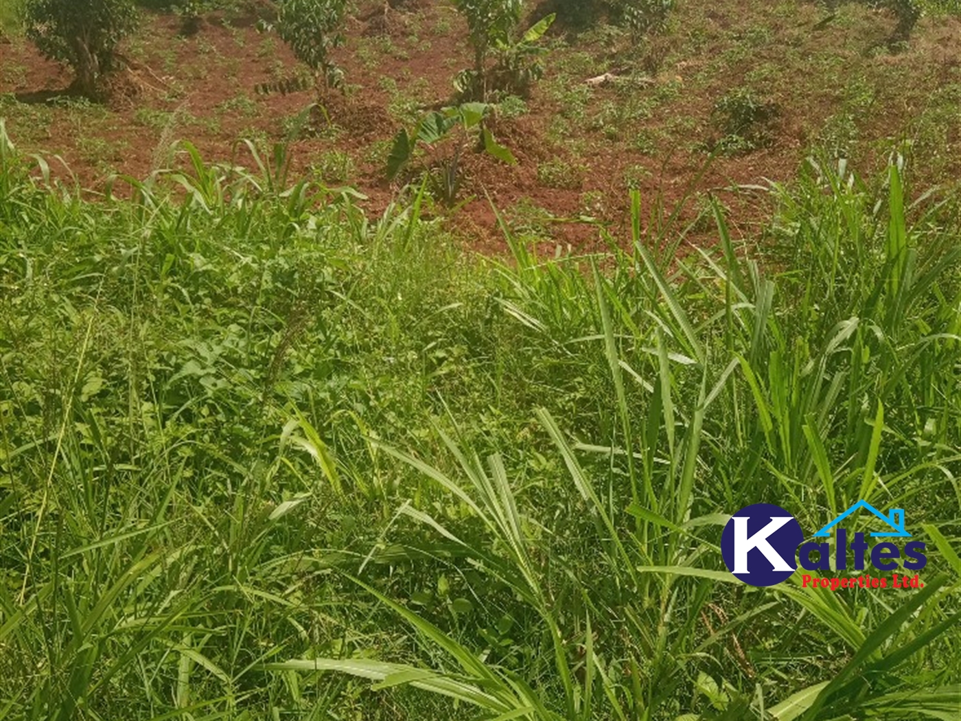 Agricultural Land for sale in Kisoga Mukono