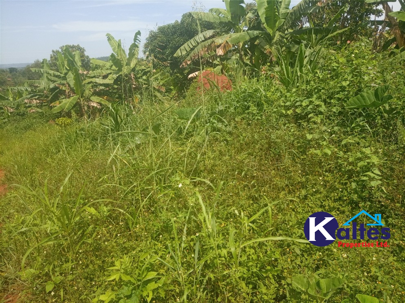 Agricultural Land for sale in Kisoga Mukono