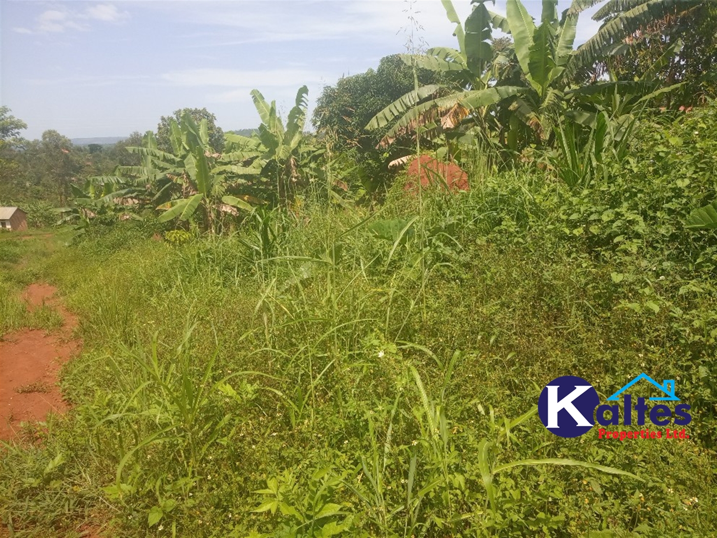 Agricultural Land for sale in Kisoga Mukono