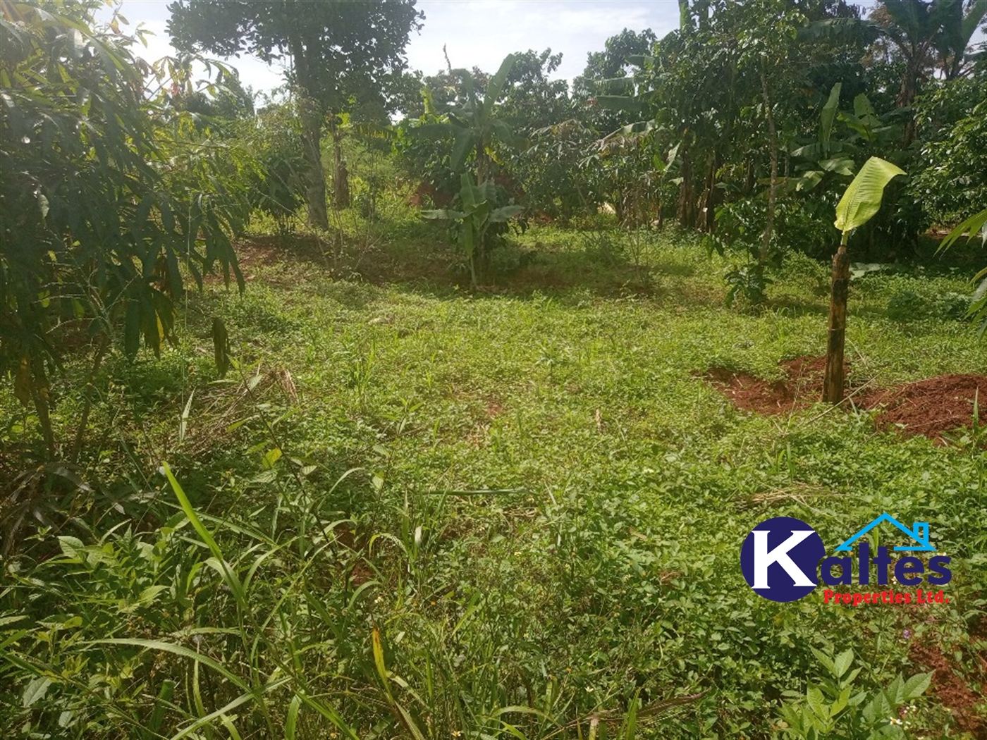 Agricultural Land for sale in Kisoga Mukono