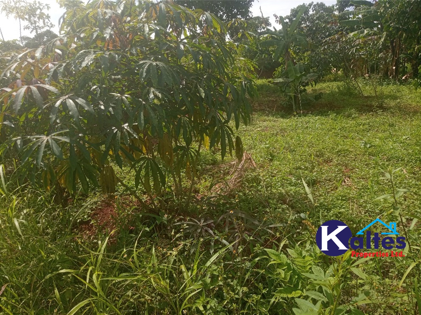 Agricultural Land for sale in Kisoga Mukono