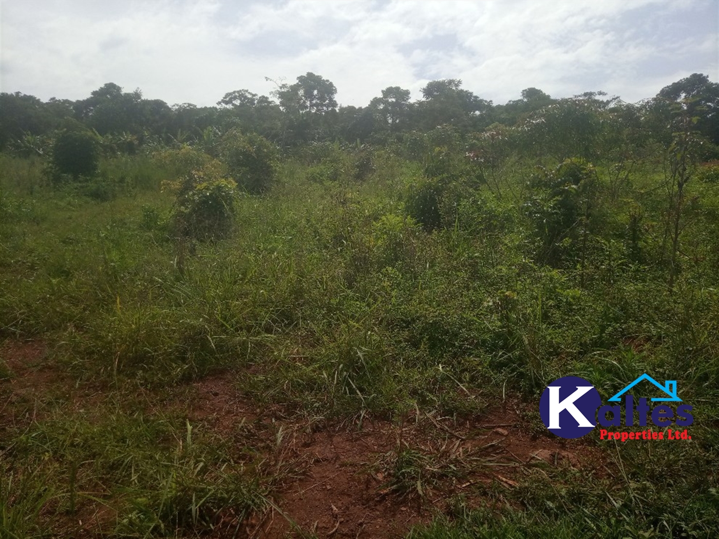 Agricultural Land for sale in Kisoga Mukono