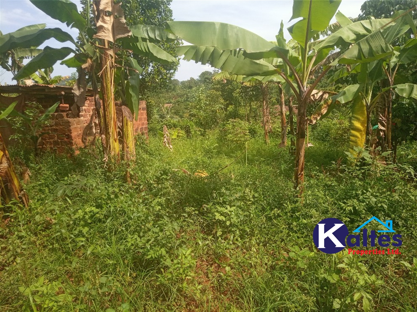 Agricultural Land for sale in Buwooya Buyikwe