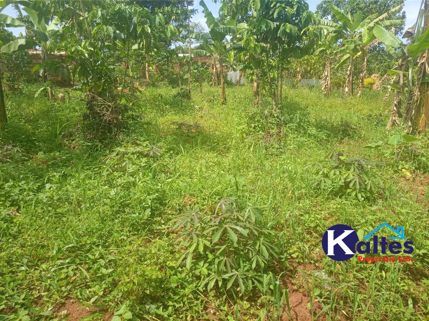 Agricultural Land for sale in Buwooya Buyikwe