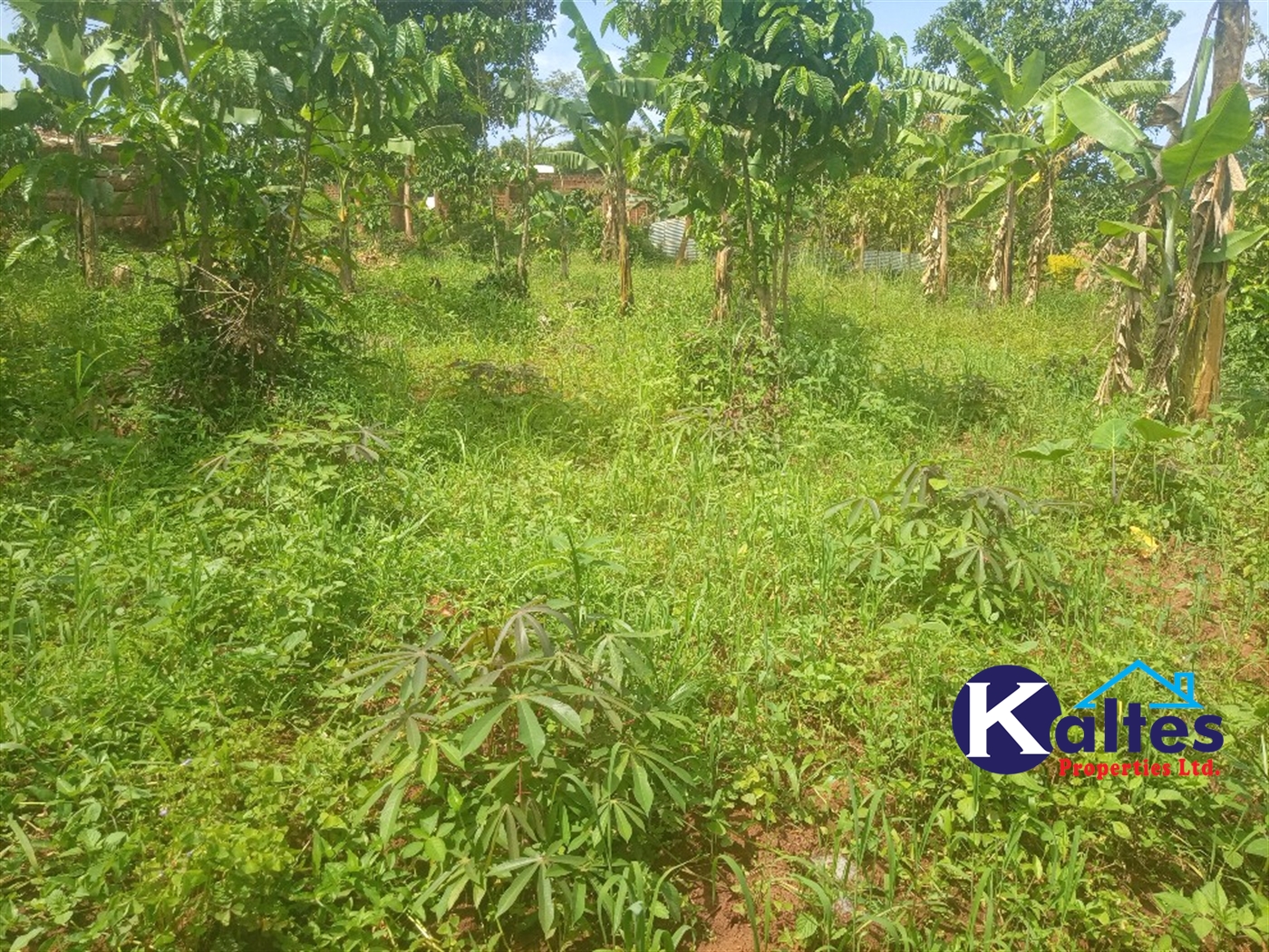 Agricultural Land for sale in Buwooya Buyikwe