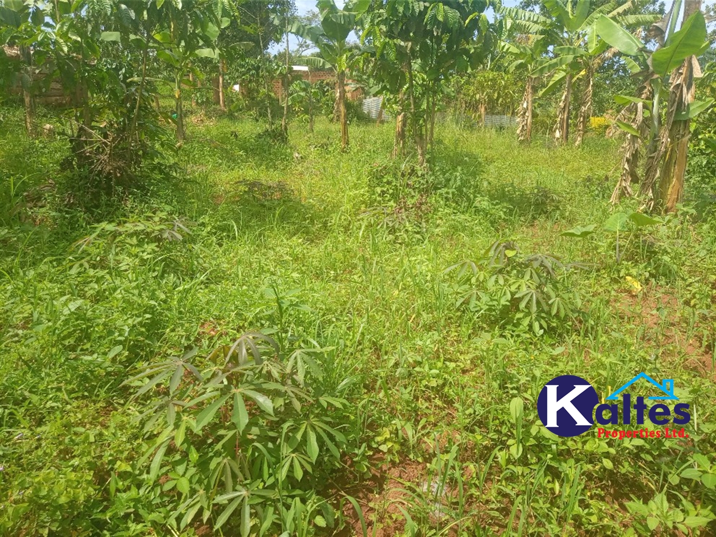 Agricultural Land for sale in Buwooya Buyikwe