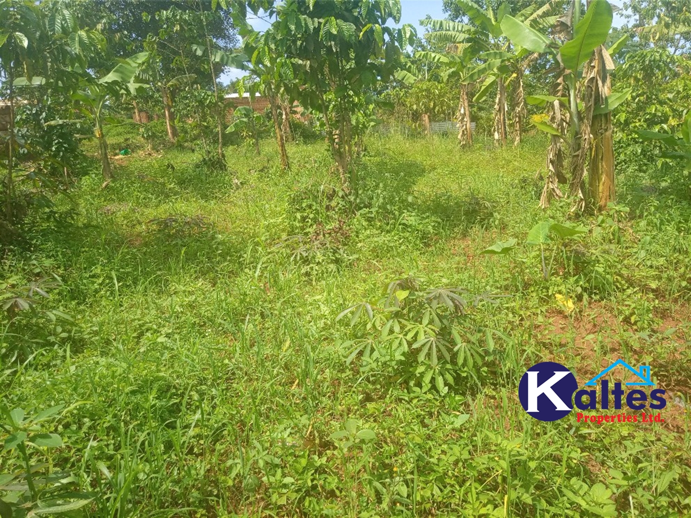 Agricultural Land for sale in Buwooya Buyikwe