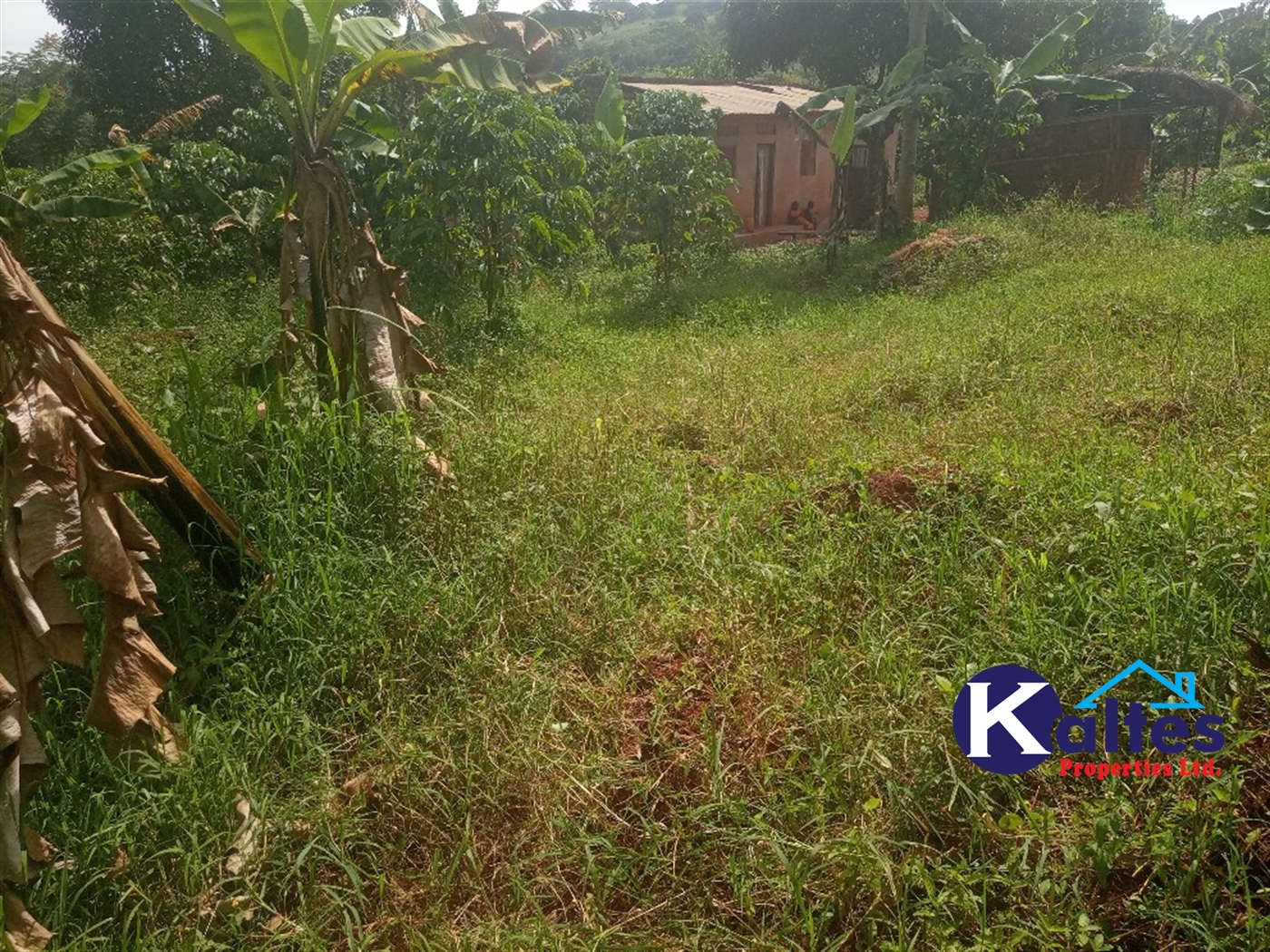 Agricultural Land for sale in Buwooya Buyikwe