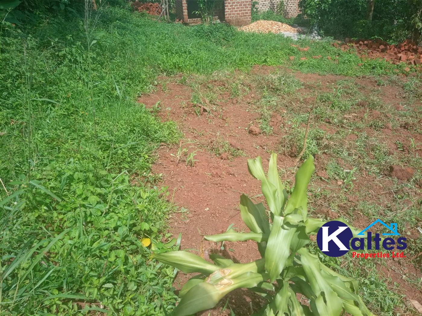 Agricultural Land for sale in Buwooya Buyikwe