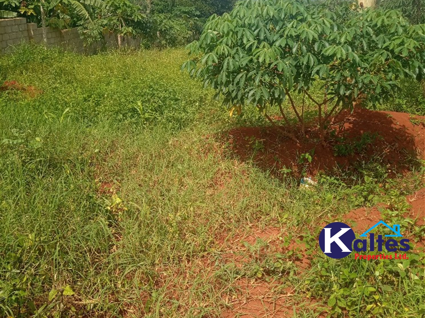 Agricultural Land for sale in Buwooya Buyikwe