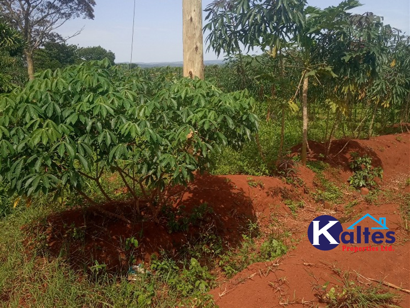 Agricultural Land for sale in Buwooya Buyikwe