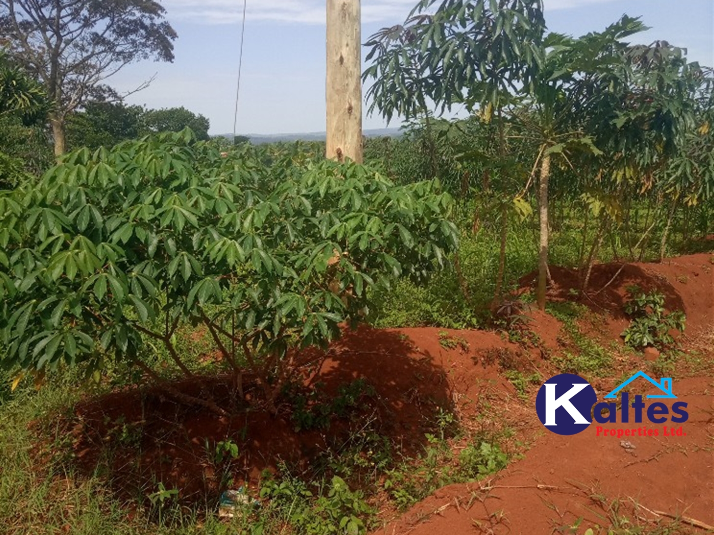 Agricultural Land for sale in Buwooya Buyikwe