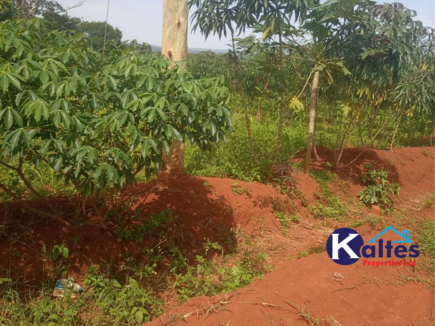 Agricultural Land for sale in Buwooya Buyikwe