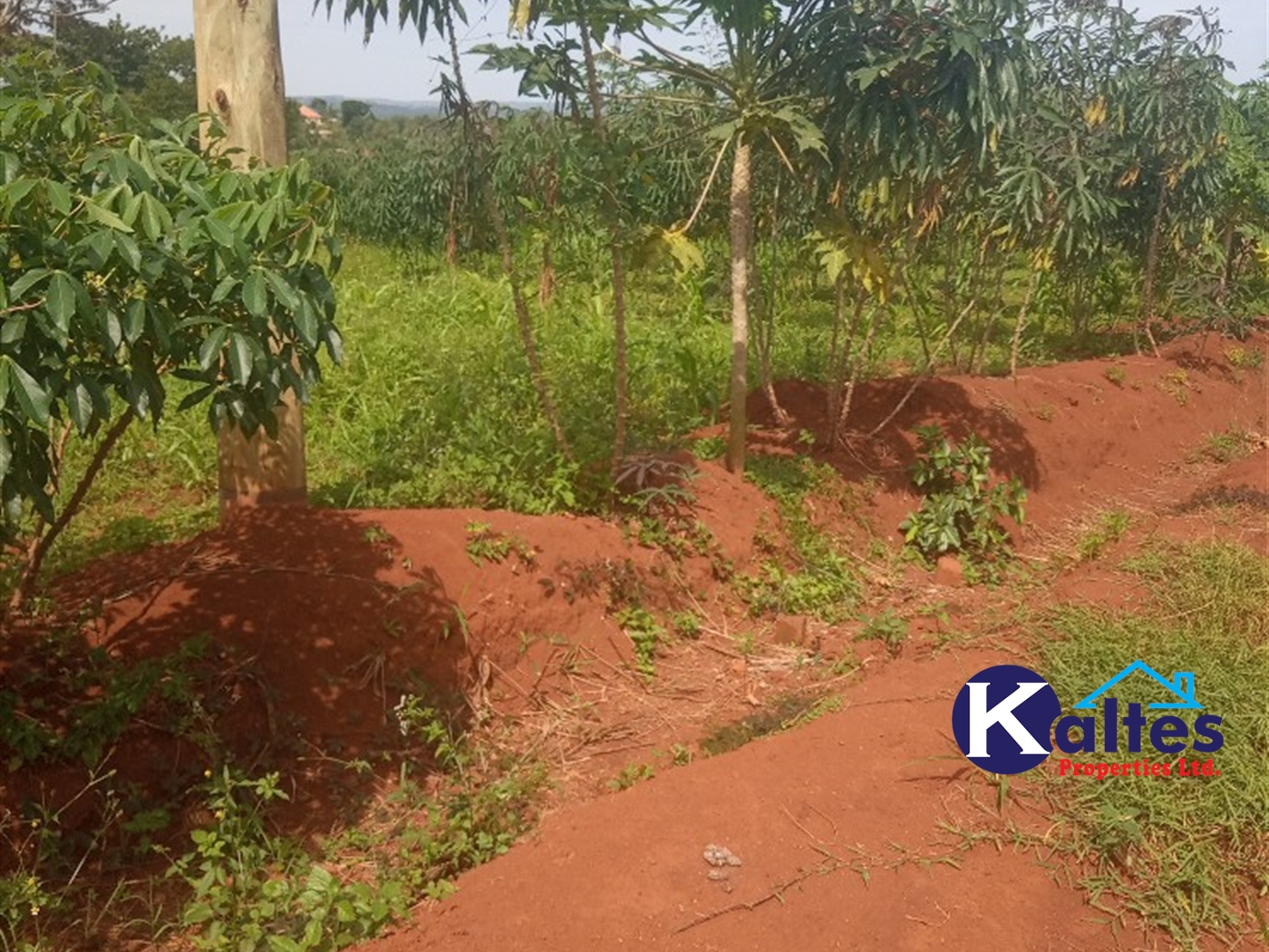 Agricultural Land for sale in Buwooya Buyikwe