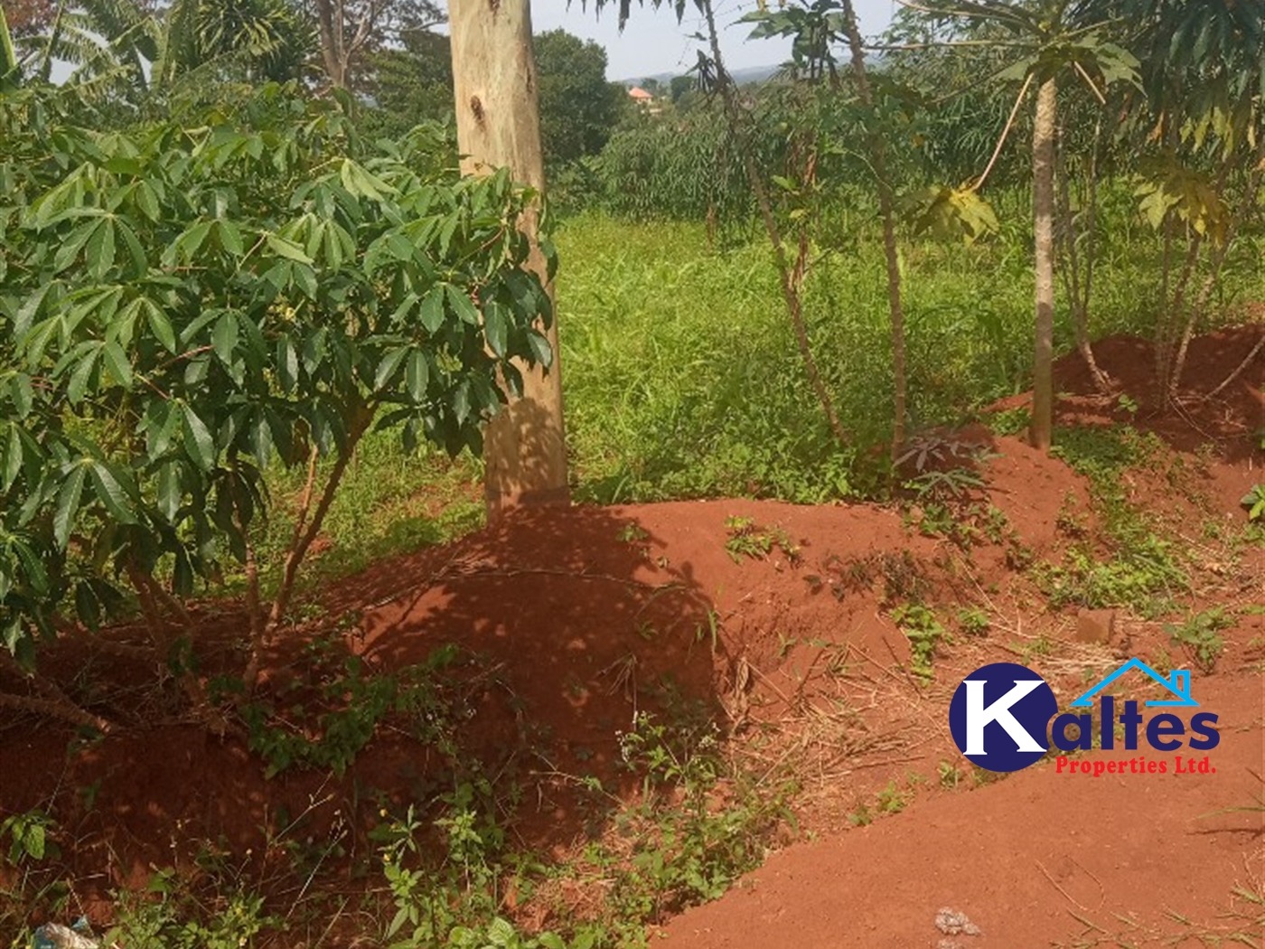 Agricultural Land for sale in Buwooya Buyikwe