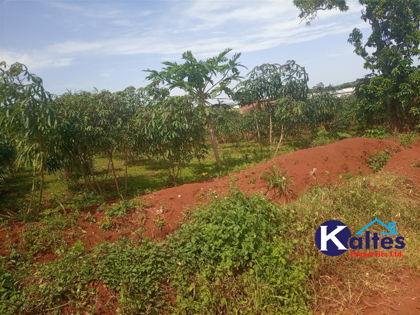 Agricultural Land for sale in Buwooya Buyikwe