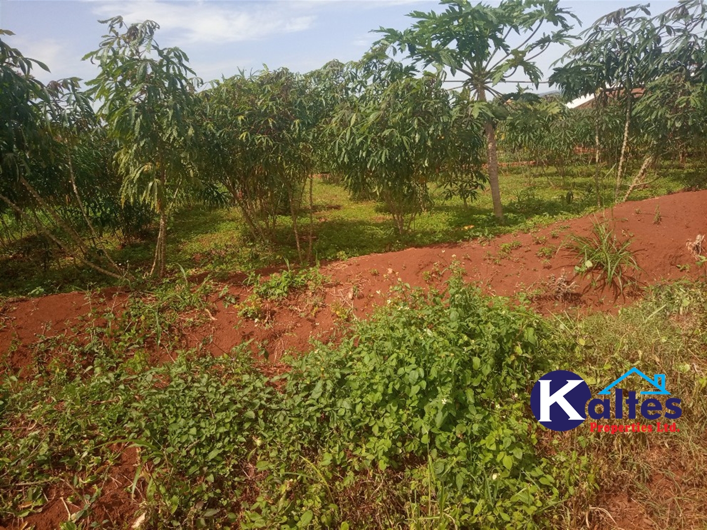 Agricultural Land for sale in Buwooya Buyikwe