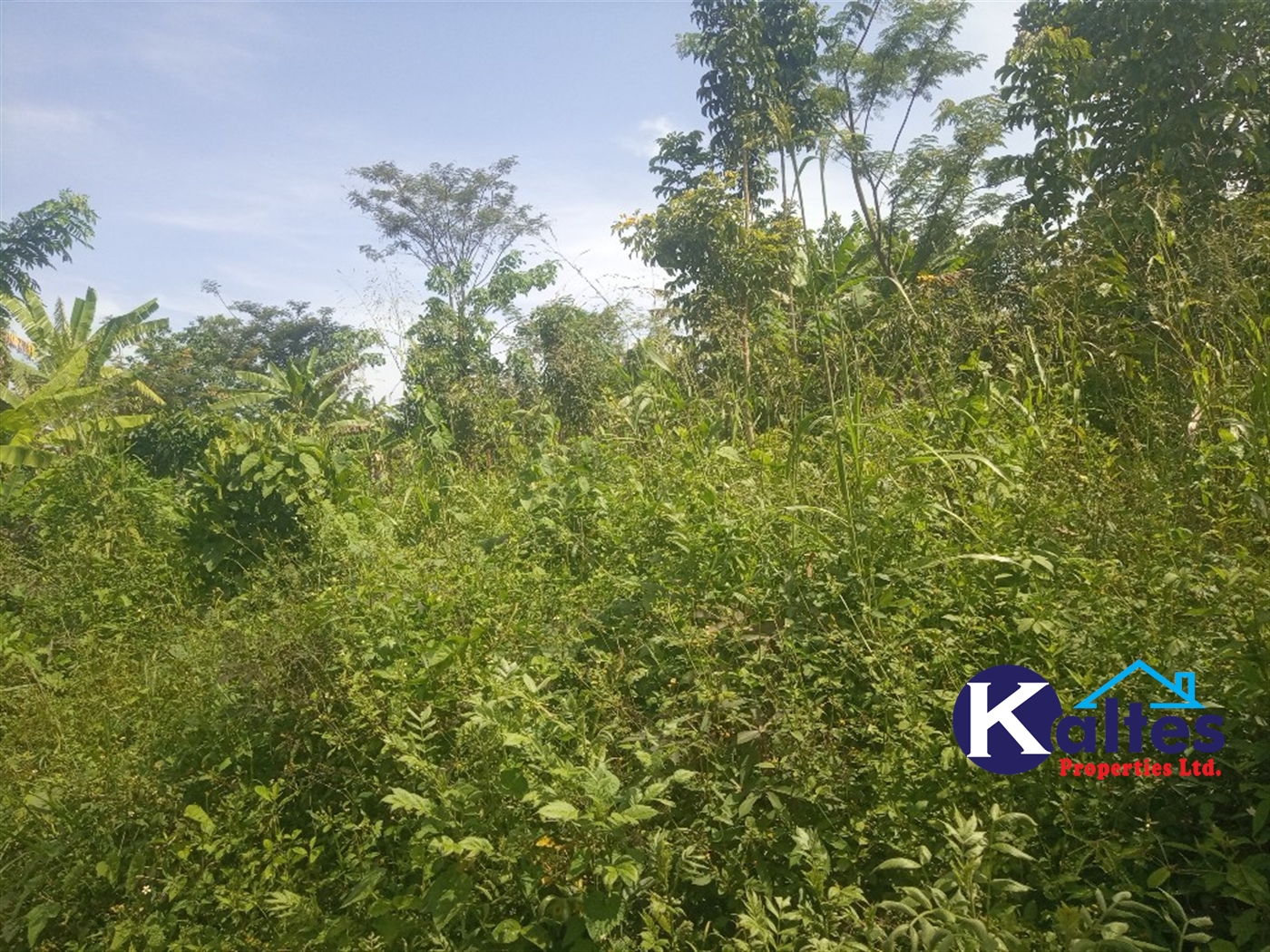 Agricultural Land for sale in Buwooya Buyikwe