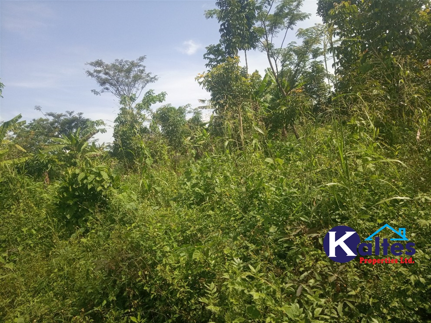 Agricultural Land for sale in Buwooya Buyikwe