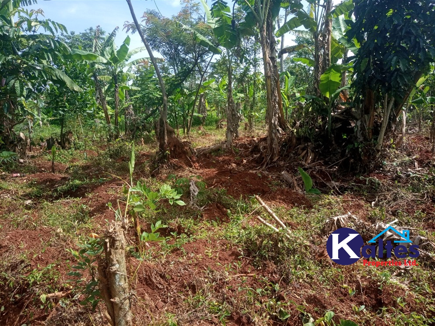 Agricultural Land for sale in Buwooya Buyikwe