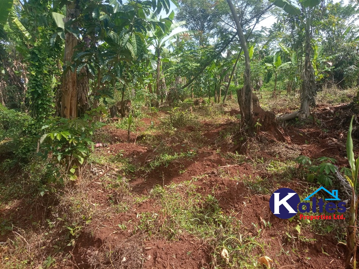 Agricultural Land for sale in Buwooya Buyikwe