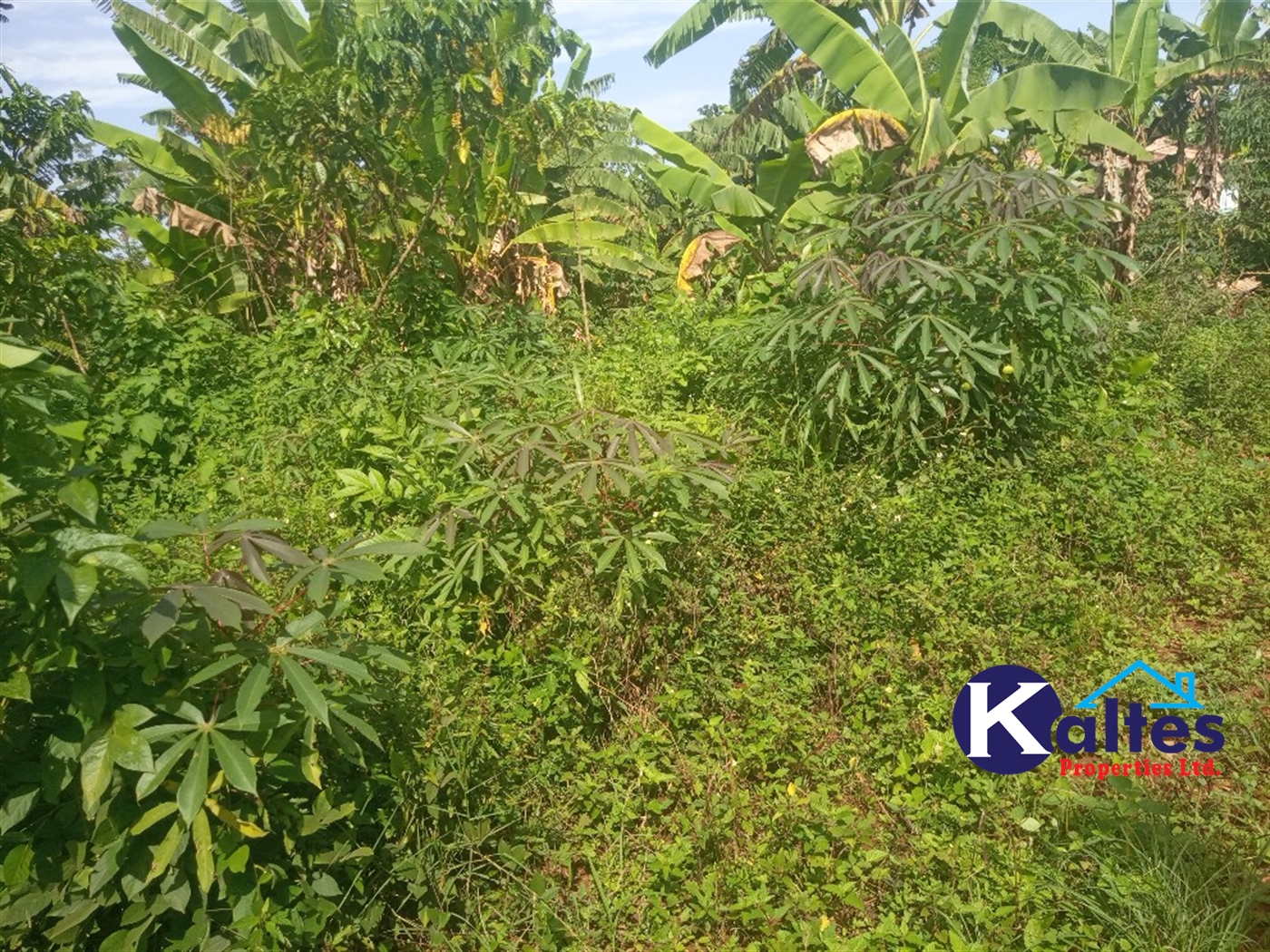 Agricultural Land for sale in Buwooya Buyikwe