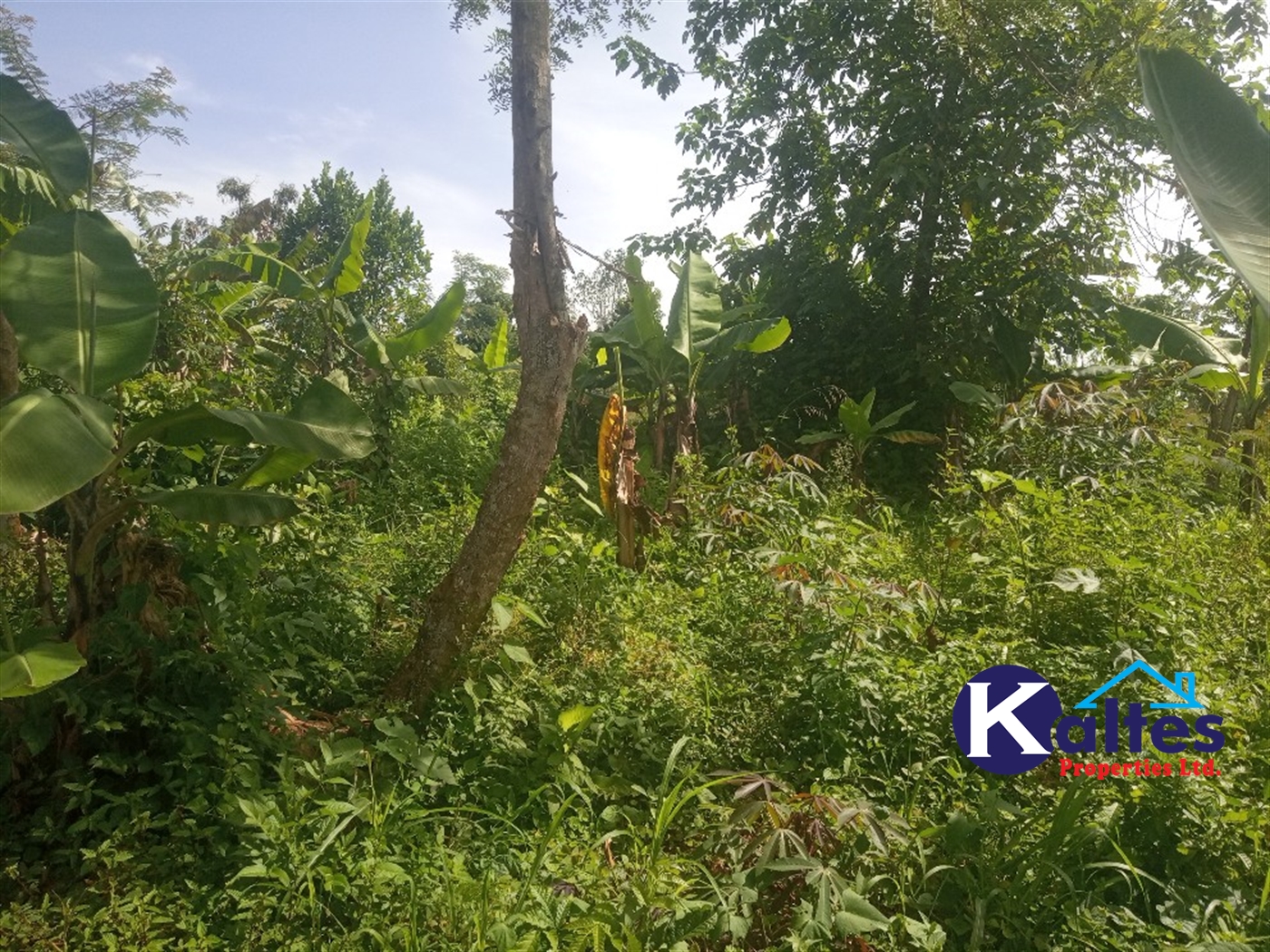 Agricultural Land for sale in Buwooya Buyikwe