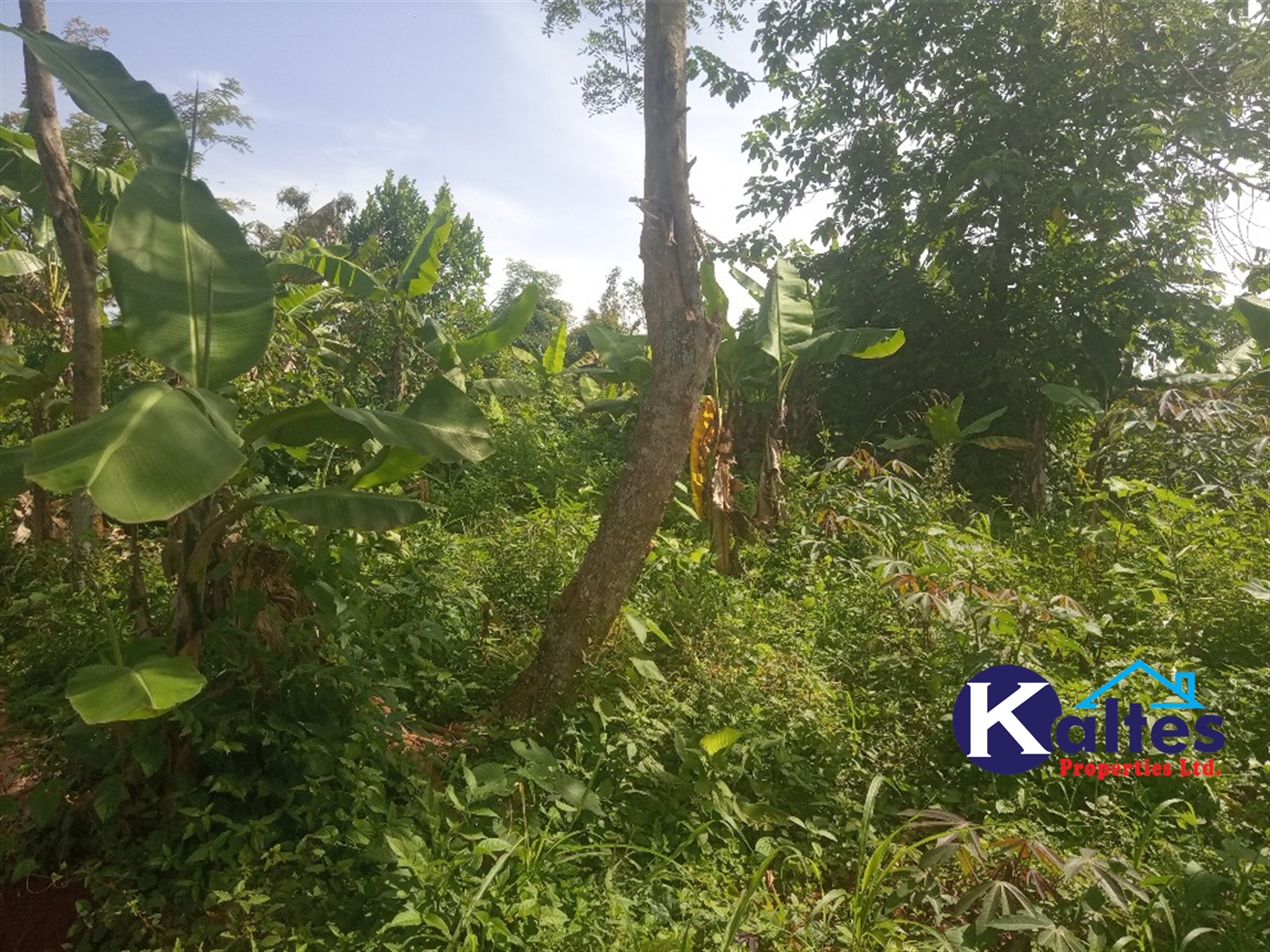 Agricultural Land for sale in Buwooya Buyikwe