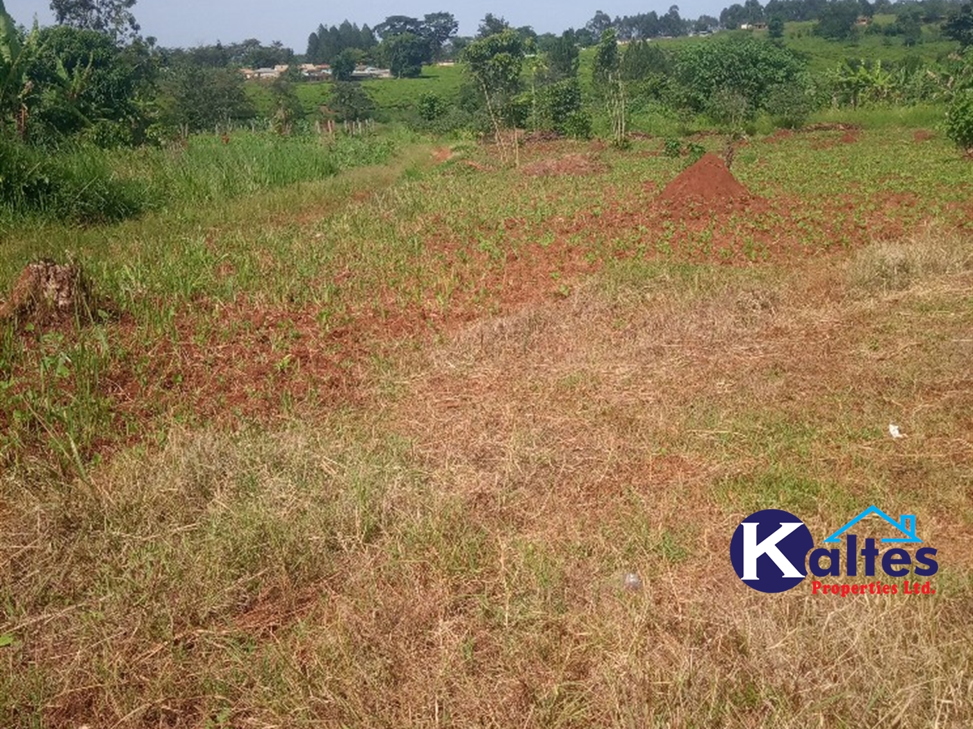 Agricultural Land for sale in Buwooya Buyikwe