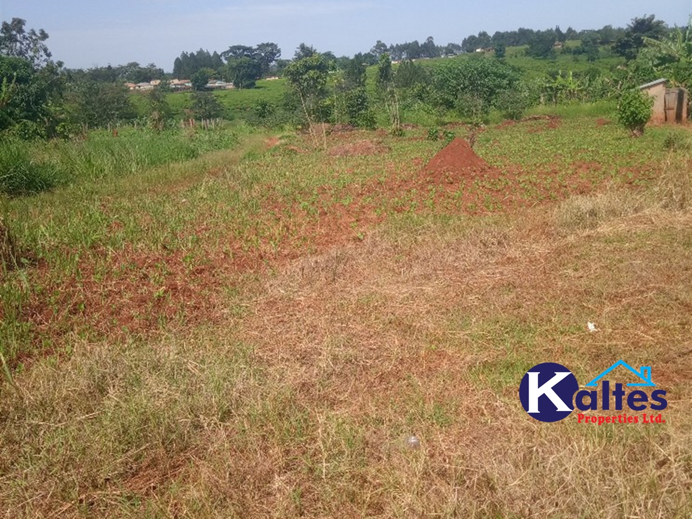 Agricultural Land for sale in Buwooya Buyikwe