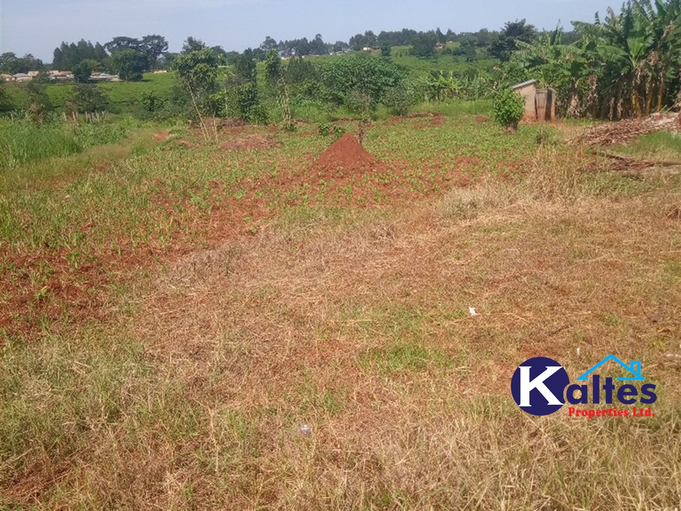 Agricultural Land for sale in Buwooya Buyikwe