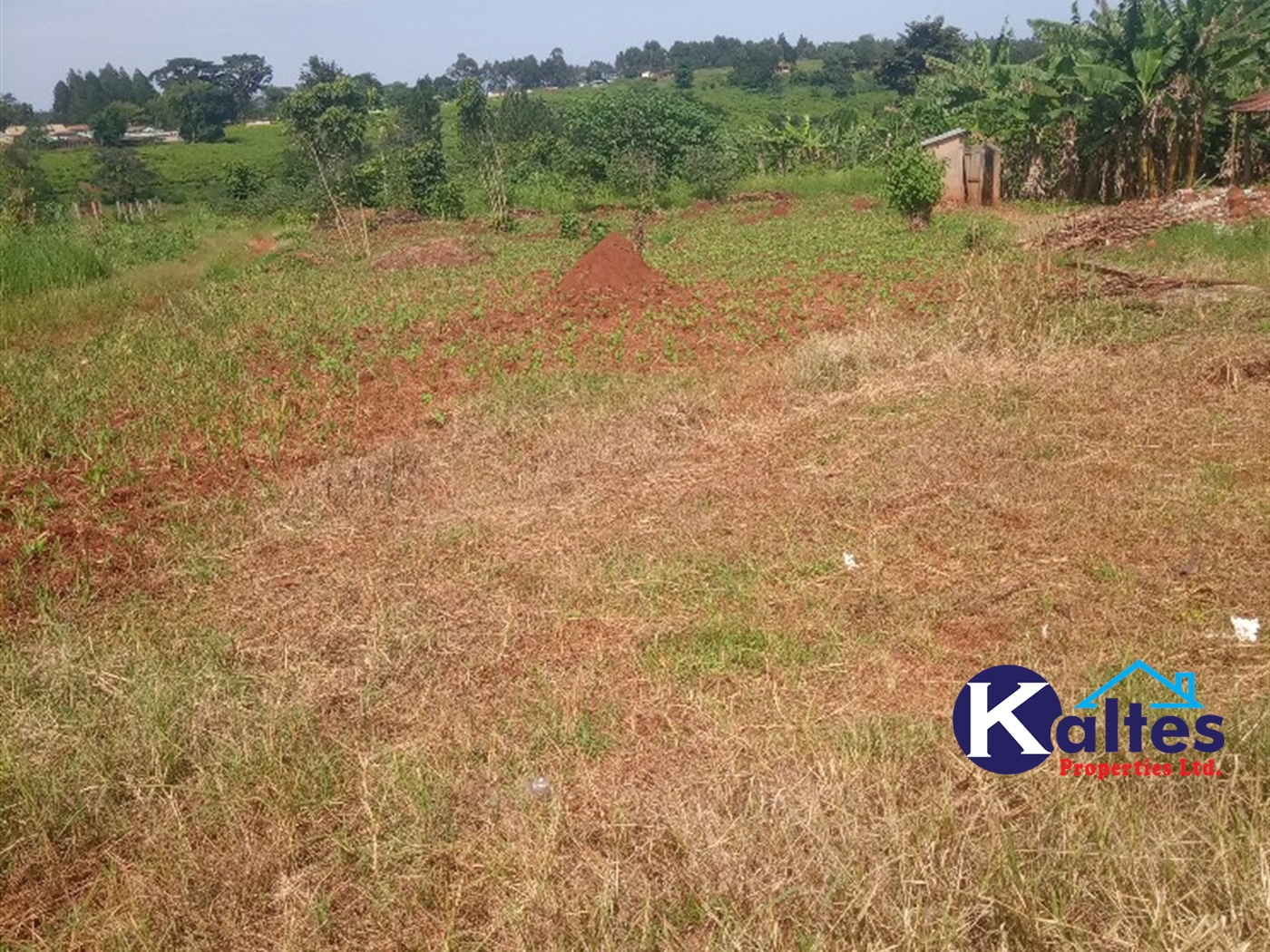 Agricultural Land for sale in Buwooya Buyikwe