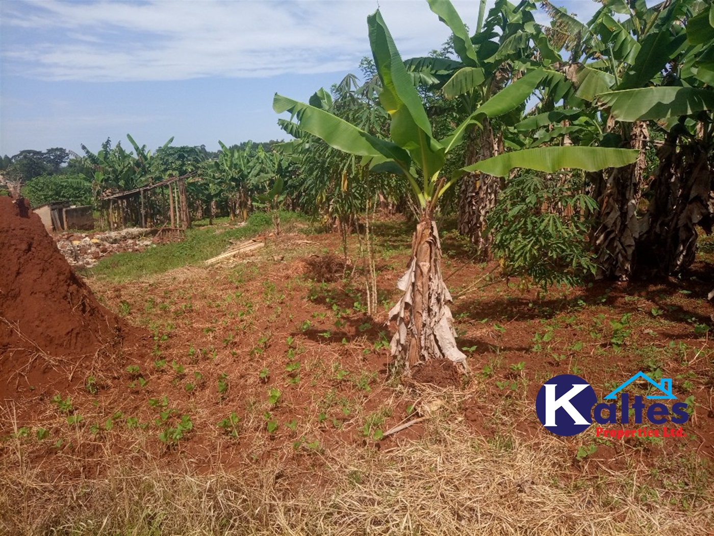 Agricultural Land for sale in Buwooya Buyikwe