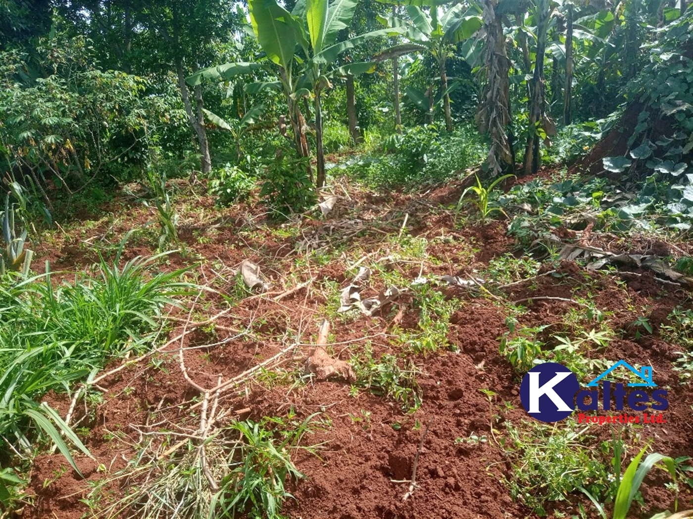 Agricultural Land for sale in Buwooya Buyikwe