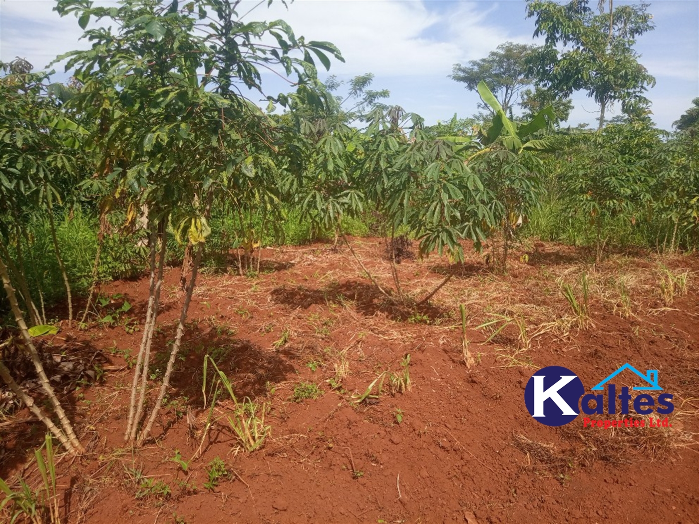 Agricultural Land for sale in Buwooya Buyikwe