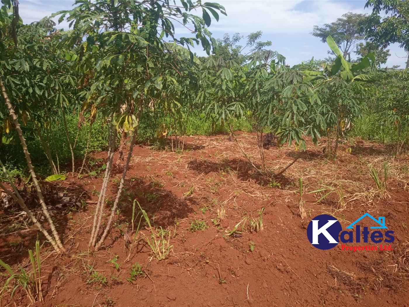 Agricultural Land for sale in Buwooya Buyikwe