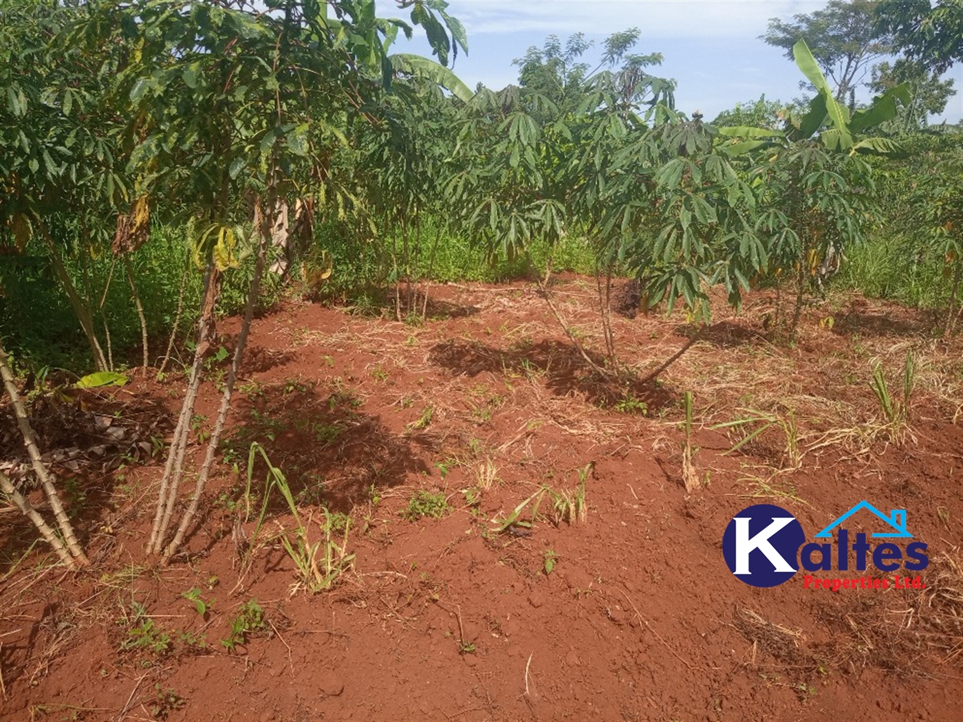 Agricultural Land for sale in Buwooya Buyikwe