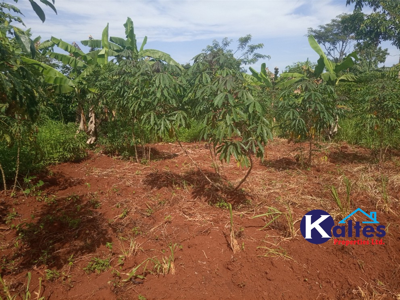 Agricultural Land for sale in Buwooya Buyikwe