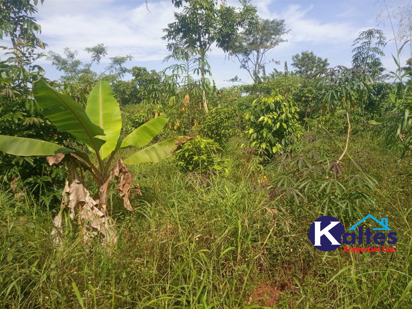 Agricultural Land for sale in Buwooya Buyikwe