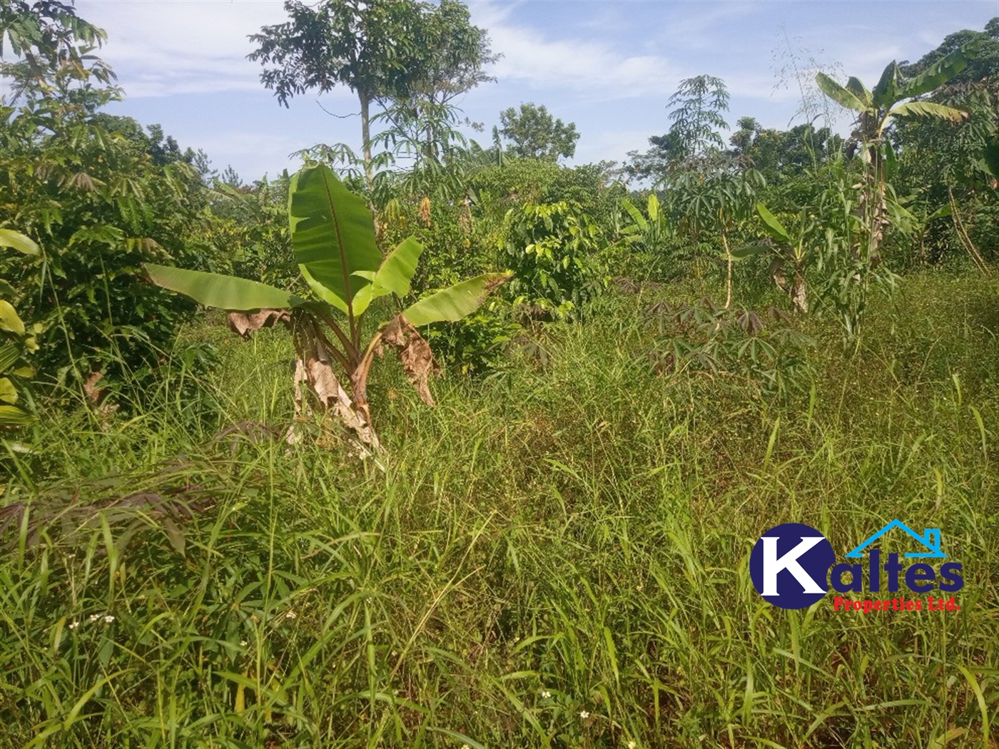 Agricultural Land for sale in Ntenjjeru Mukono