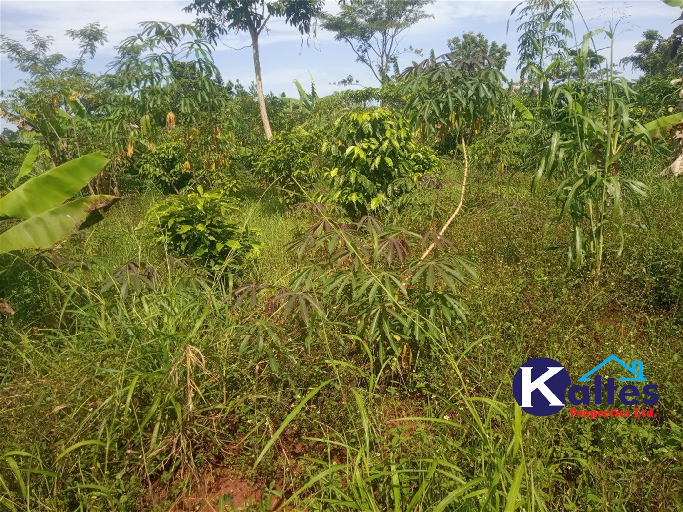 Agricultural Land for sale in Ntenjjeru Mukono