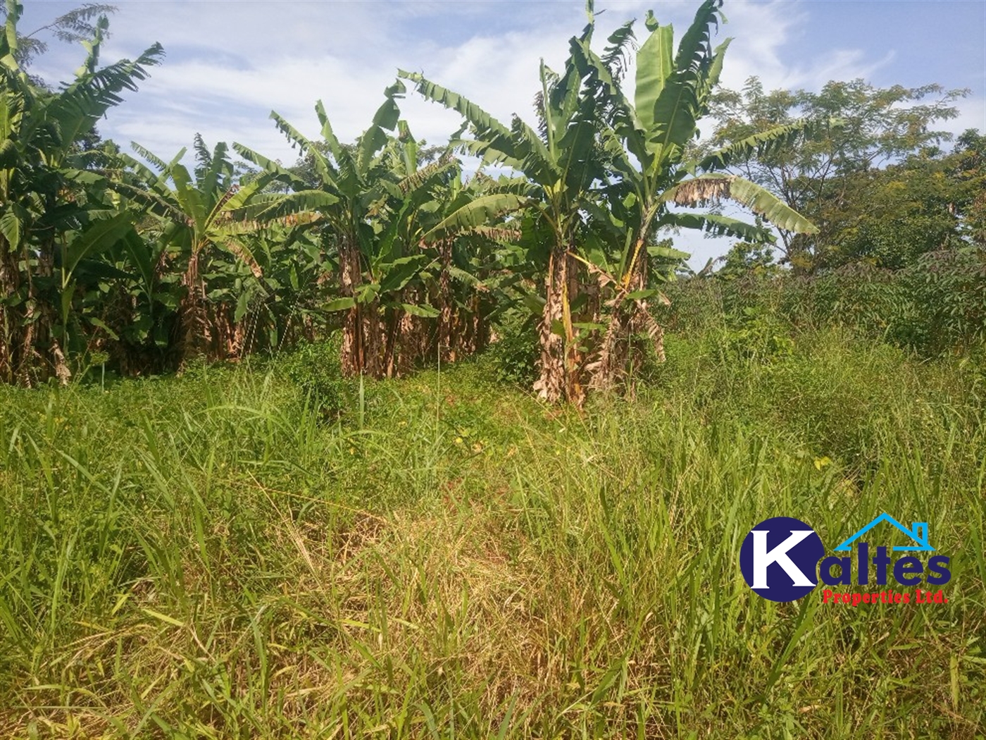 Agricultural Land for sale in Ntenjjeru Mukono