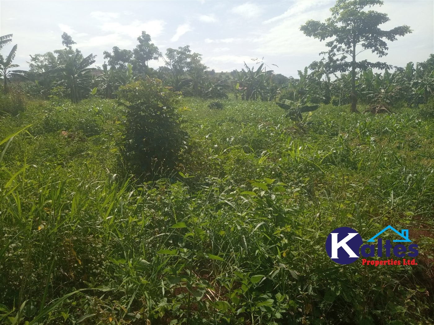 Agricultural Land for sale in Ntenjjeru Mukono