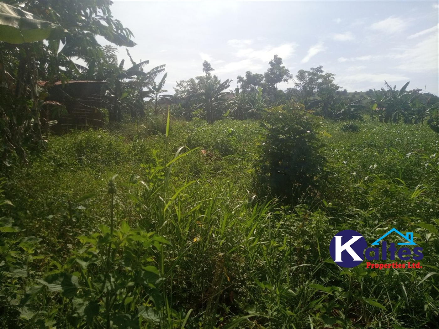 Agricultural Land for sale in Ntenjjeru Mukono