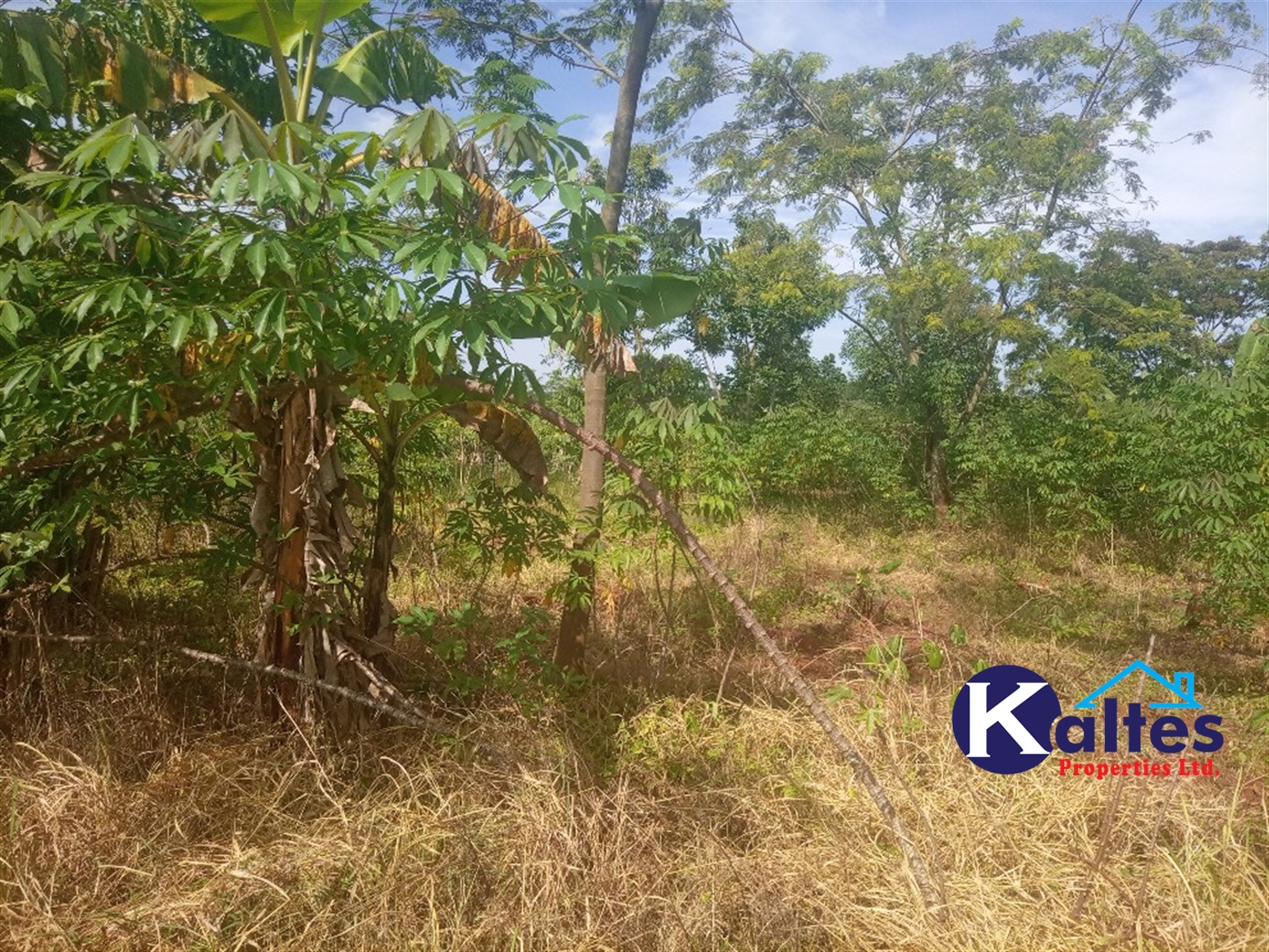 Agricultural Land for sale in Ntenjjeru Mukono