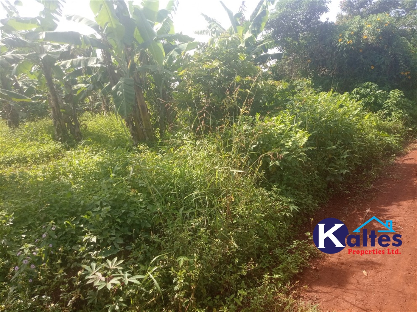 Agricultural Land for sale in Ntenjjeru Mukono