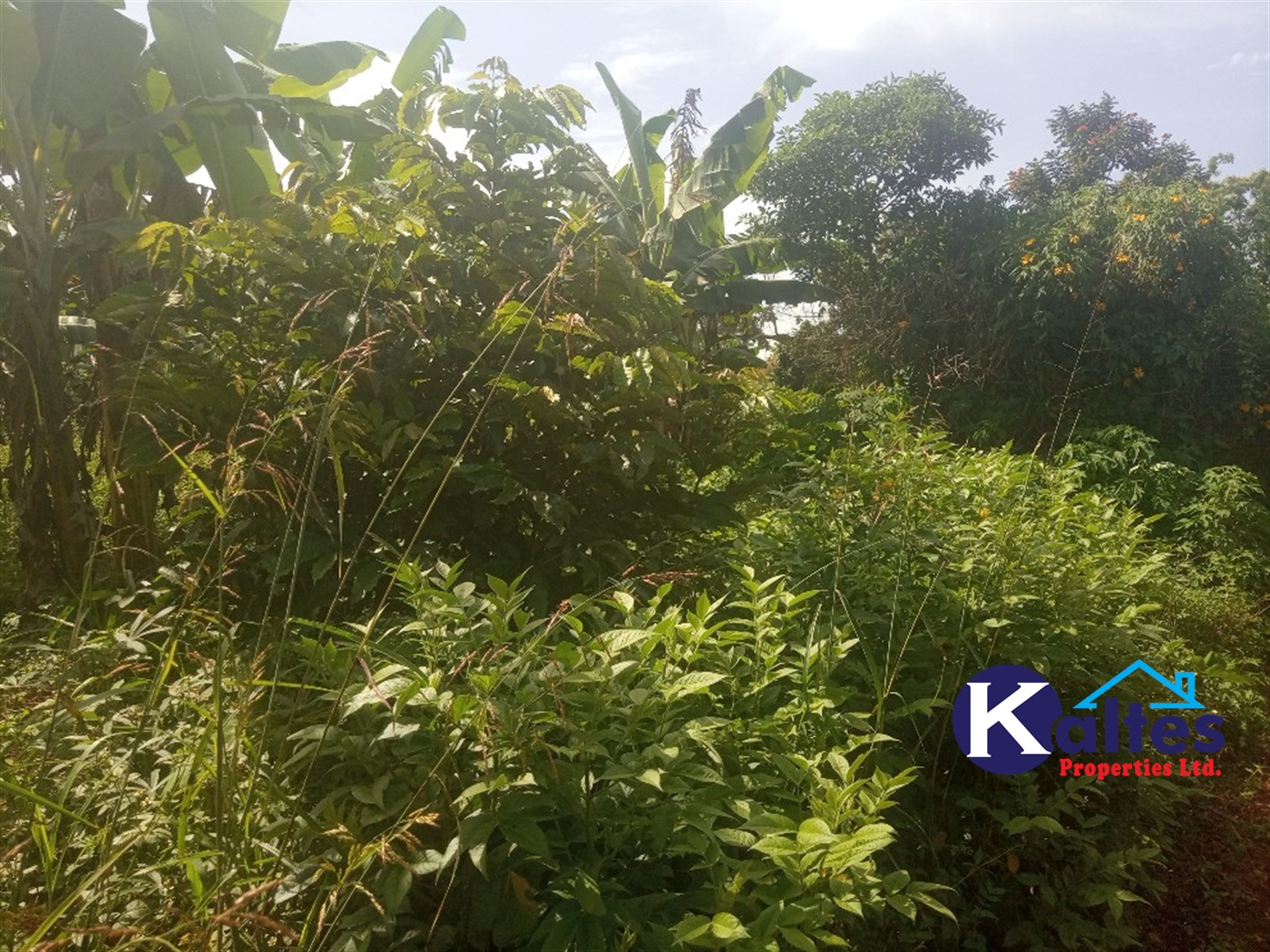 Agricultural Land for sale in Ntenjjeru Mukono