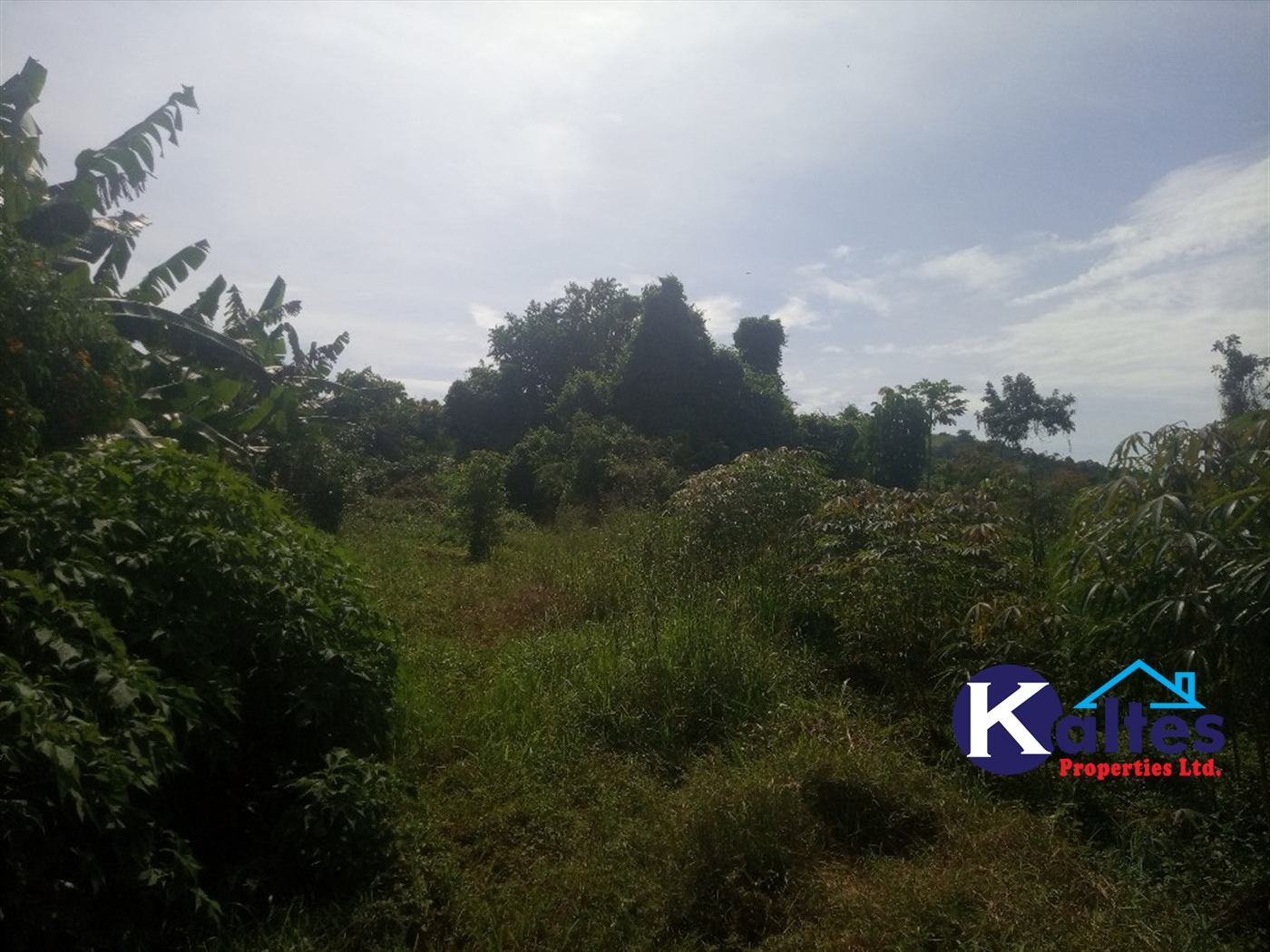 Agricultural Land for sale in Ntenjjeru Mukono